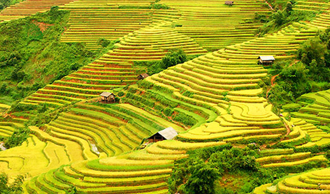 “Phát triển du lịch nông thôn gắn với xây dựng nông thôn mới”